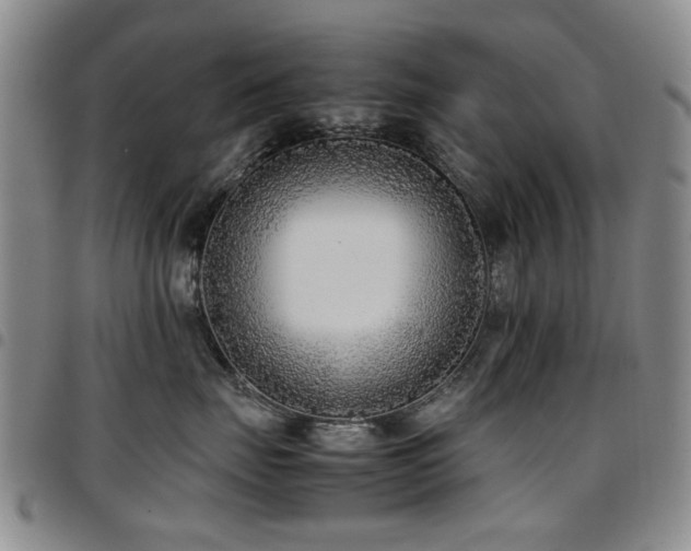 X0000097820671200803141142