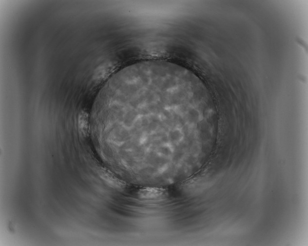 X0000097820672200803141142