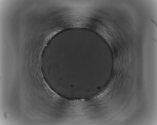 X0000097820673200803141141