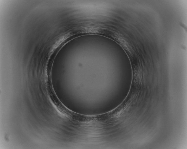 X0000097820674200803141141