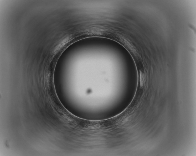 X0000097820675200803141141