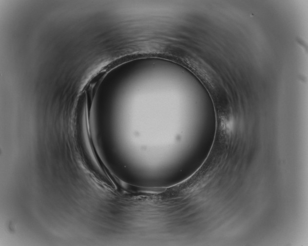 X0000097820676200803141141