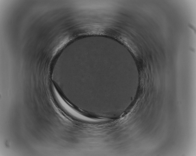 X0000097820677200803141141