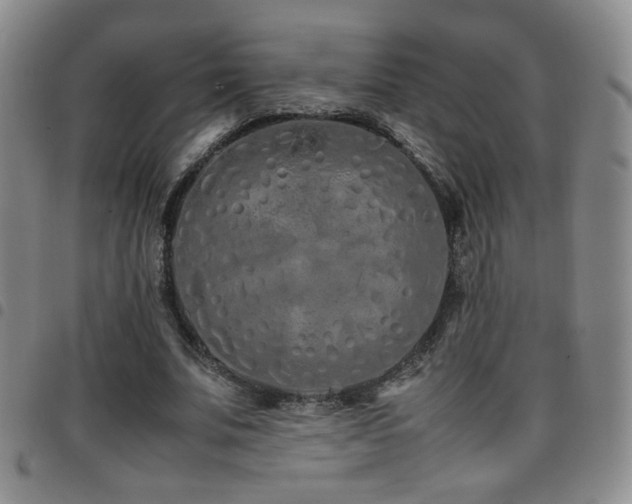 X0000097820679200803141141