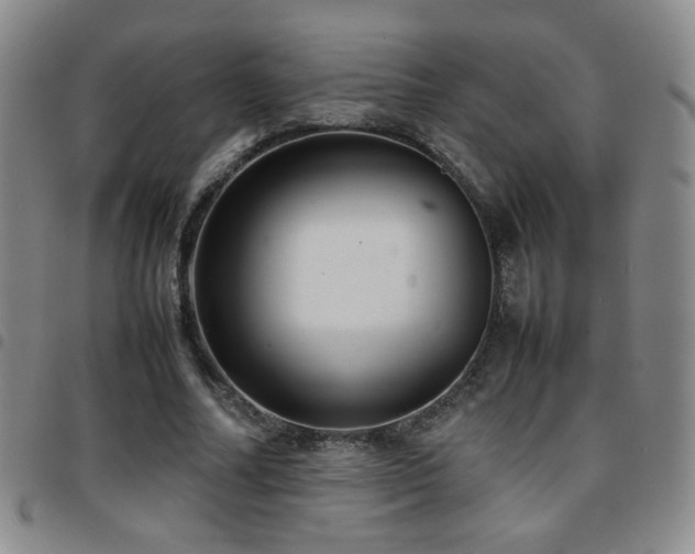 X0000097820682200803141141