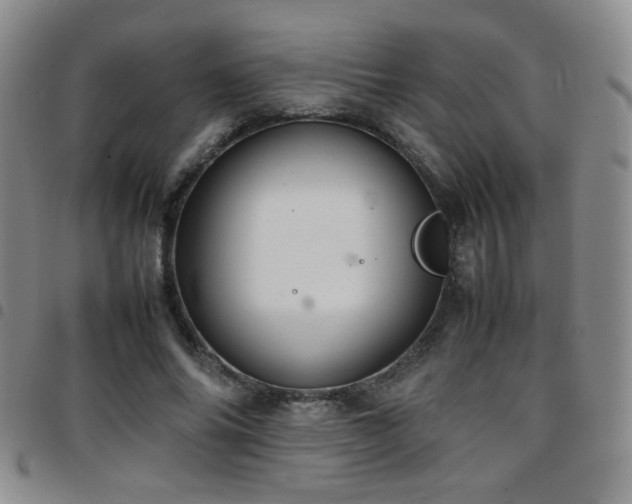 X0000097820686200803141141