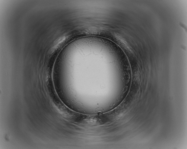 X0000097820687200803141141