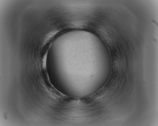 X0000097820688200803141141