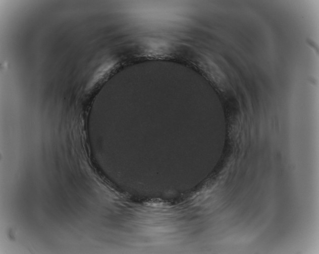 X0000097820689200803141141