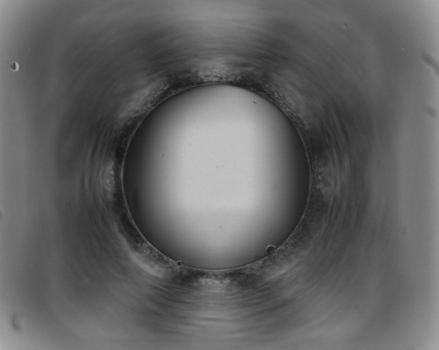 X0000097820690200803141141