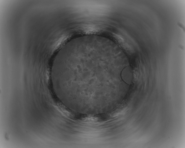 X0000097820691200803141141