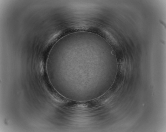 X0000097820692200803141141