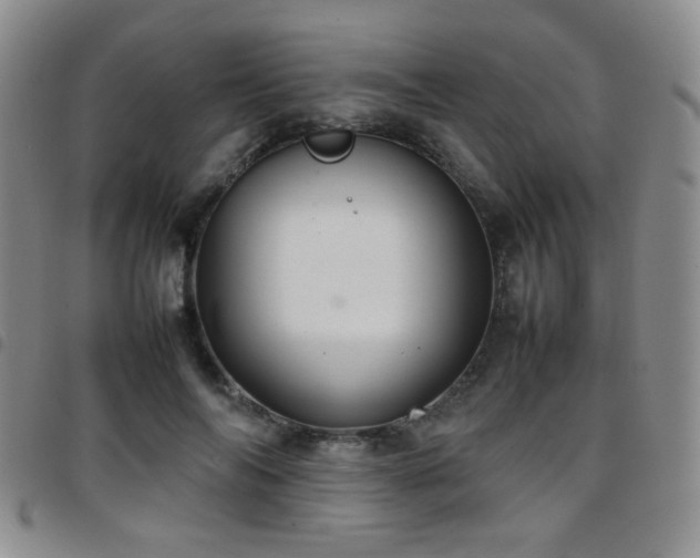 X0000097820694200803141141