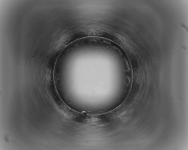 X0000097820695200803141141