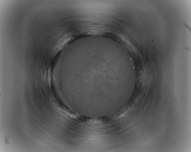 X0000097820696200803141141