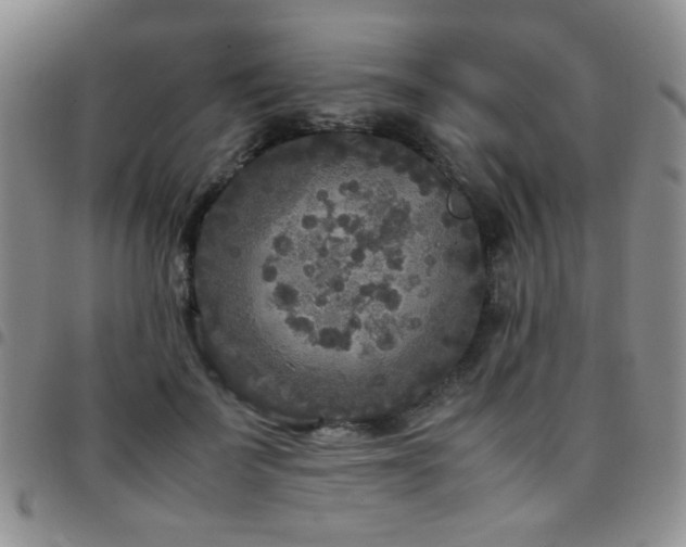 X0000097820699200803141141