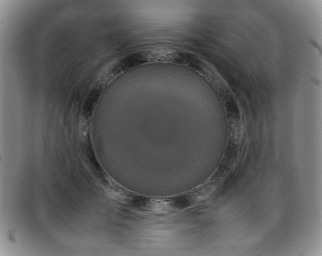 X0000097820701200803141141