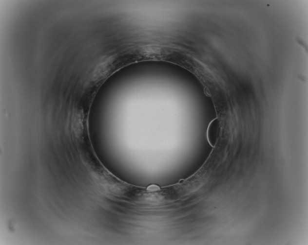 X0000097820702200803141141