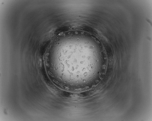 X0000097820703200803141141