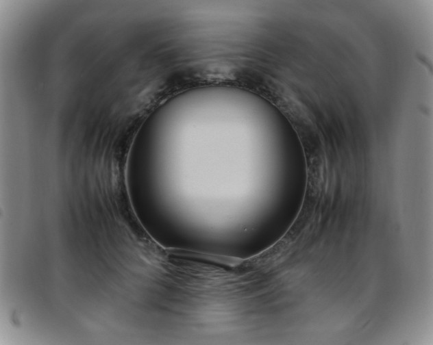 X0000097820704200803141141