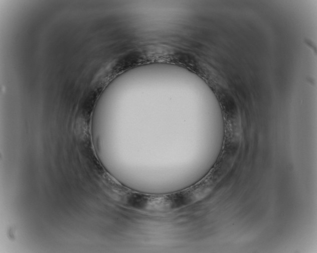 X0000097820705200803141141