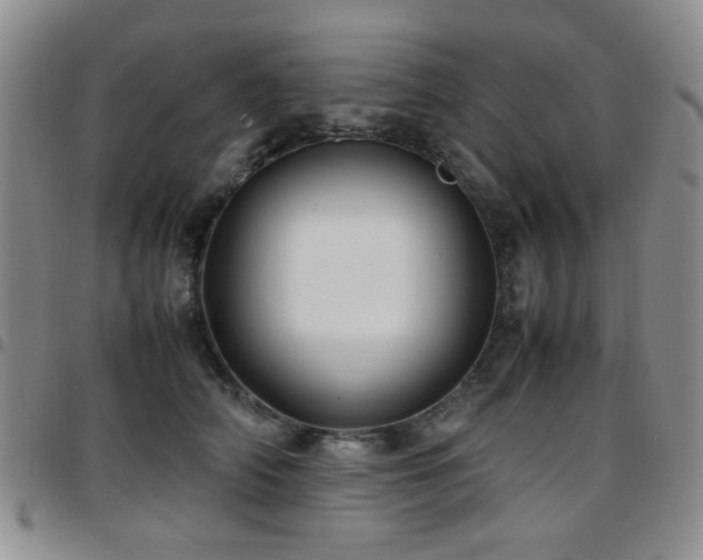 X0000097820706200803141141