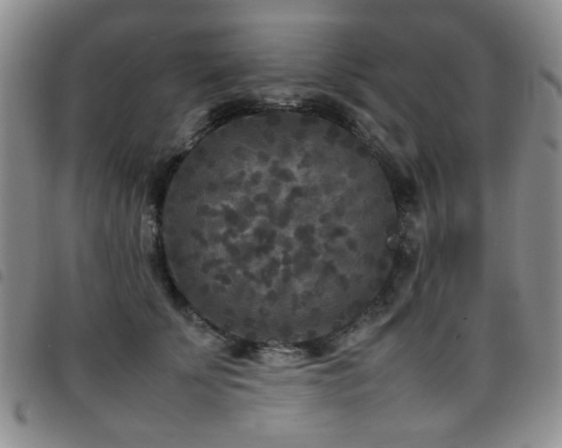 X0000097820707200803141141