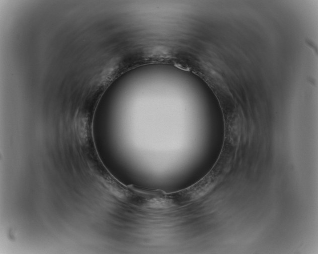 X0000097820708200803141141