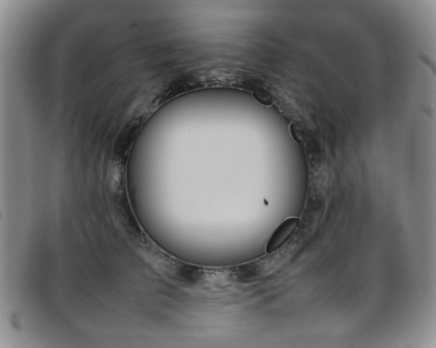 X0000097820709200803141141