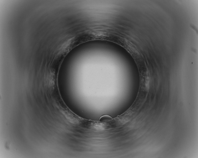 X0000097820710200803141141