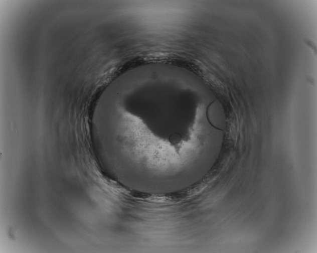 X0000097820711200803141141