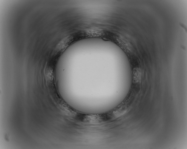 X0000097820713200803141140