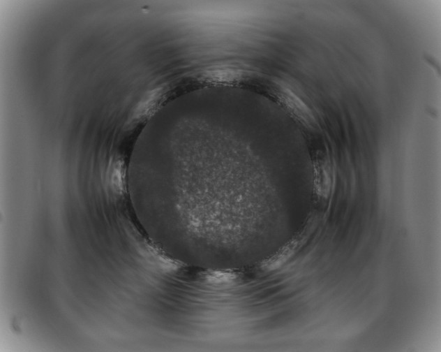 X0000097820718200803141140