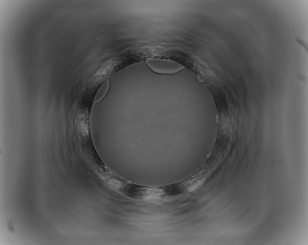 X0000097820719200803141140