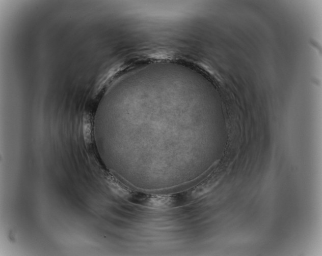 X0000097820720200803141140