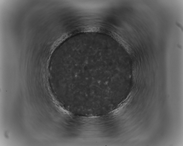 X0000097820721200803141140