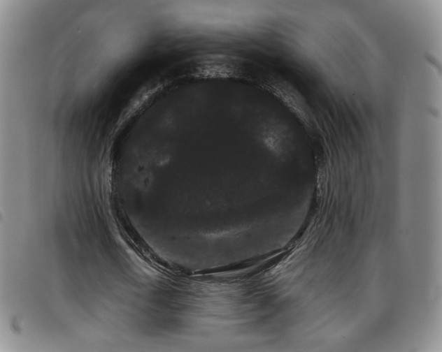 X0000097820722200803141140