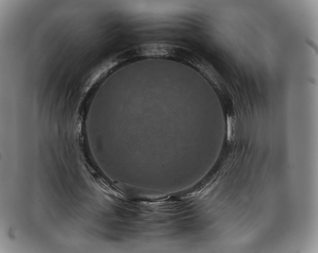 X0000097820723200803141140