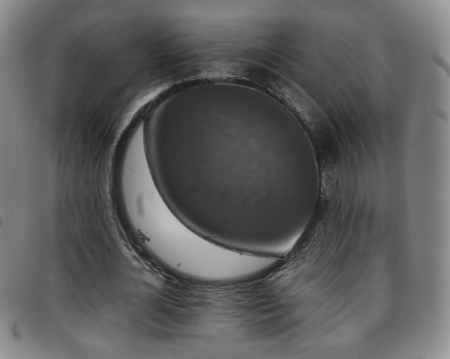 X0000097820724200803141140