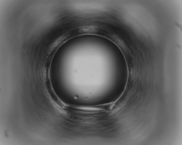 X0000097820725200803141140