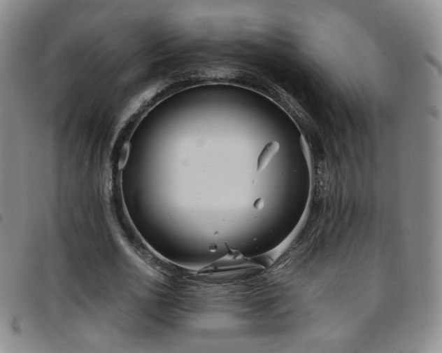 X0000097820726200803141140