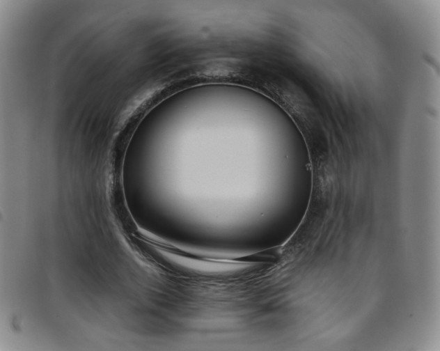 X0000097820728200803141140