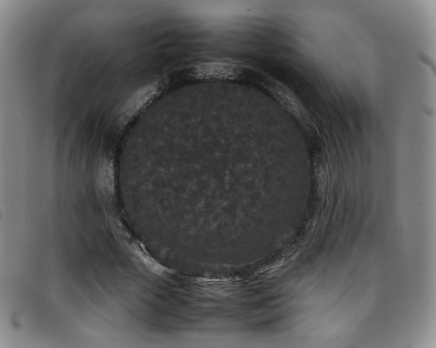 X0000097820729200803141140