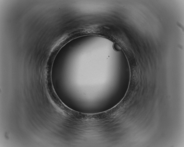 X0000097820730200803141140