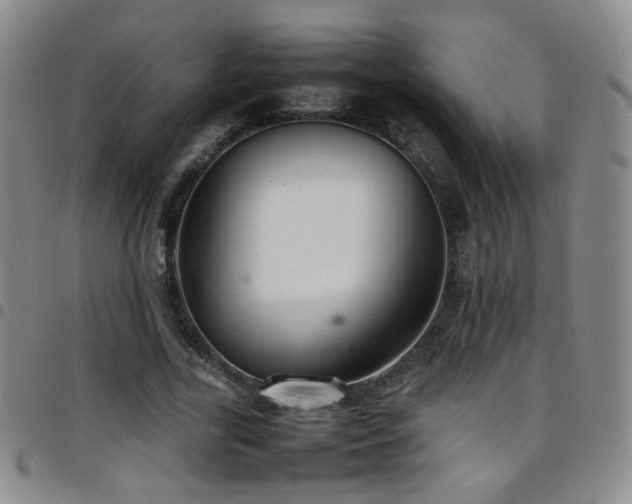 X0000097820731200803141140