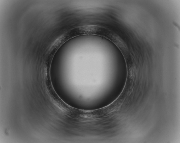 X0000097820733200803141140