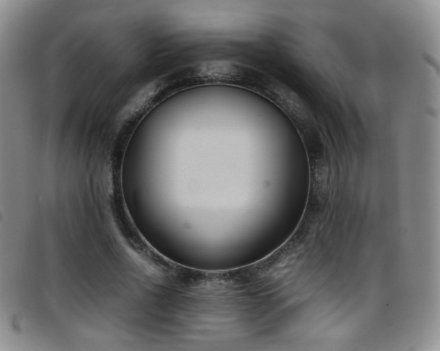 X0000097820734200803141140