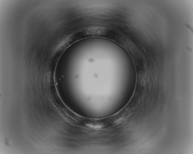 X0000097820735200803141140