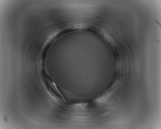 X0000097820736200803141140