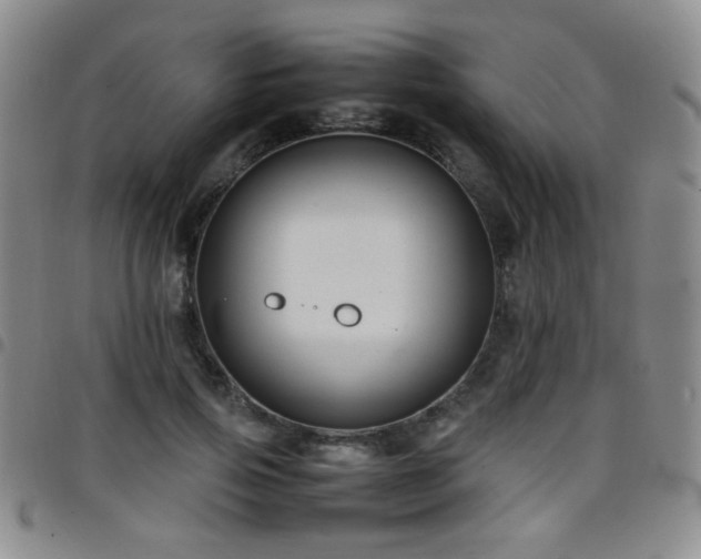 X0000097820741200803141140